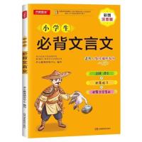 小升初 小学数学知识大全语文知识涂书大全 复习资料毕业总复习 文言文