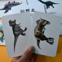 恐龙卡幼儿童男孩认知识字卡杜曼理念七田式右脑早教闪卡兴趣培养 恐龙卡幼儿童男孩认知识字卡杜曼理念七田式右脑早教闪卡兴趣培