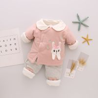 初生婴儿衣服秋冬套装男0-1岁女春秋6个月薄棉棉衣夹棉宝宝两件套 小兔棉两件套 粉色 66 建议一个月
