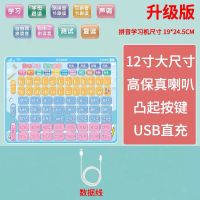 一年级学习汉语拼音拼读训练神器点读拼音学习机早教幼儿大班儿童 升级四声调拼音学习机浅蓝色 送学习机+USB线