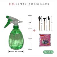 [出口款]喷壶浇花喷水壶喷雾瓶消毒打药农药喷雾器高压家用洗车 0.5L小喷壶+多菌灵+园艺三件套