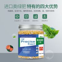 香妃烈香茶花树苗盆栽浓香型茶花室内外阳台庭院绿植盆栽花卉耐寒 茶花专用肥100克