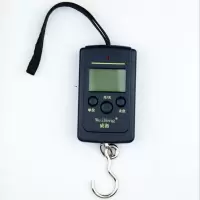 威衡电子称手提秤便携式高精度家用称重50kg迷你弹簧秤行李快递秤 威衡小方称(不带蓝光)