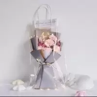 满天星天然干花束永生花皂花玫瑰送女朋友生日礼物毕业520花束 [粉康乃馨+粉皂玫瑰]+灯+透明袋