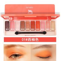 彩妆盘化妆品套装眼影盒全套组合初学者新手学生淡妆儿童舞台妆 人气款10色眼影 01#西柚色