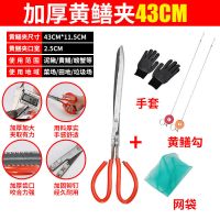 黄鳝夹子捕泥鳅龙虾螃蟹不锈钢钳子防滑加长专用抓捉工具赶海神器 镀锌43cm+皮套网袋+黄鳝勾