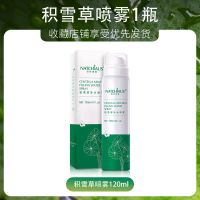 [1瓶抵10瓶]积雪草补水保湿喷雾定妆收缩毛孔爽肤水化妆水女男 1瓶积雪草喷雾