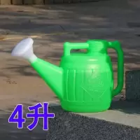 纯手工加厚不锈铁喷壶白铁皮壶浇菜壶浇花喷壶铁皮洒水壶喷壶 塑料喷壶4升