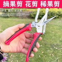 农用疏花剪刀疏果双口剪不锈钢锻打苹果树梨树果农帮手稀花神器 佐千藤333摘果剪