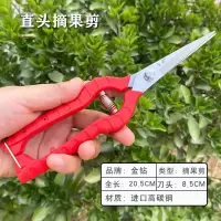 果树摘果剪柑橘苹果葡萄蔬果剪采果翘头稀果剪园艺修枝剪采摘工具 金钻直头摘果剪