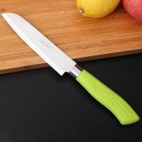 不锈钢水果刀具家用菜刀厨刀切肉片切水果切片刀多功能剪刀瓜刨 [单支]不锈钢水果刀