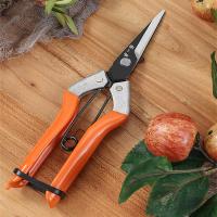 张小泉蔬果疏花剪刀摘果剪刀稀果剪子葡萄剪修枝剪子果树采摘剪刀 张小泉稀果剪324[剪头狭长]