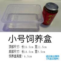 西班牙睡鼠饲养盒笼 中号大号专用饲养笼送食盆小笼子仓鼠用品 小号(适合外带)