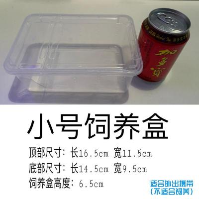 西班牙睡鼠饲养盒笼 中号大号专用饲养笼送食盆小笼子仓鼠用品 小号(适合外带)