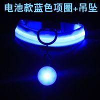 宠物用品狗狗发光项圈可充电猫咪颈圈泰迪金毛大中小型犬夜光项圈 蓝色 电池款项圈+吊坠 S-小型13-22斤