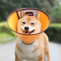 伊丽莎白圈大型犬金毛头罩狗狗头套防咬舔耻辱圈宠物伊利沙白项圈 橙色 A2(颈围16-18cm深9.5cm