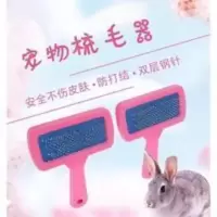 小动物专用针梳小宠用品兔子豚鼠龙猫荷兰猪梳子宠物清洁用品 小动物专用针梳小宠用品兔子豚鼠龙猫荷兰猪梳子宠物清洁用品