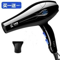飞莱雅电吹风机家用负离子护发大功率发型师专用吹风筒冷热静音 蓝光送风嘴