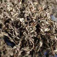 野生干艾草艾叶草泡脚泡澡药包 祛湿家用足浴包去湿气泡脚神器 1斤装纯艾叶(送5个无纺布袋)