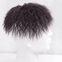 假发男锡纸烫韩版帅气蓬松时尚泡面卷真发头顶补发片男女士假发片 假发 黑色补发块