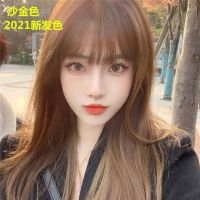 沙金色染发膏自己在家染头发染发剂纯植物永久性染头膏显白流行色 沙金色+工具