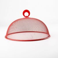 铁艺盖菜罩子饭菜罩家用餐桌罩防苍蝇防蟑螂剩菜罩食物罩遮菜罩 红色 圆形 一件装 直径24厘米