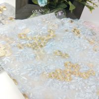 多色3D刺绣花朵软网纱水溶蕾丝面料布料 连衣裙服装辅料 浅蓝色 1米长*1.35米宽拍多件长度连续