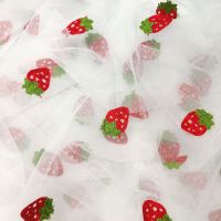 尼龙网纱绣花草莓布料女装童装韩版蓬蓬公主裙DIY网纱连衣裙面料 白色菱形网草莓 1x1.5米