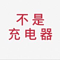 20W苹果iPhone12充电器贴纸11promax快充18W iPadPro数据线保护套 苹果原装[18/20W]充电