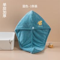 干发帽超强吸速干女可爱不掉毛加厚成人新款浴帽长发柔软双层吸水 蓝色松鼠(单层加厚)