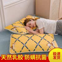 天然乳胶枕套防螨抗菌一只一对装枕头套48*74保护枕芯夏季冰丝凉 爱玛黄-乳胶枕套 抗菌乳胶枕套48*74cm[单只装]