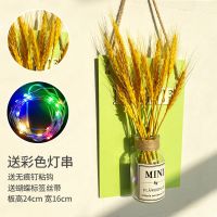 ins风墙上装饰品小挂件卧室房间创意壁挂客厅墙壁花墙面室内挂墙 Home绿板+干麦穗