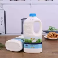 蒙牛大桶酸奶原味风味酸牛奶营养早餐奶水果捞家庭桶装1100g*1桶 蒙牛大桶纸箱*1桶