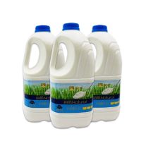 蒙牛风味酸奶1.1kg 水果捞用酸奶原味发酵乳大桶装自然酸牛奶 纸箱发 1桶