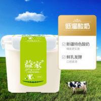 天润益家2kg酸奶新疆老酸奶水果捞伴侣桶装网红益生菌原味生牛乳 2000g*1桶