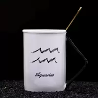 十二星座创意陶瓷杯子带盖勺骨瓷马克杯办公室茶杯牛奶杯咖啡杯 直角杯激光雕刻(高档不锈钢勺) 水瓶座(1.20-2.18)