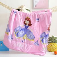 儿童空调被可水洗棉夏季薄款婴儿小被子午睡盖被幼儿园宝宝夏凉被 苏菲娅公主 30*50枕芯+随机枕套