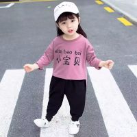 女童秋装套装2020春秋季新款1-4岁女宝宝洋气0婴儿童装韩版衣服潮 藕色 (小宝贝套装) 80 建议身高70-80cm