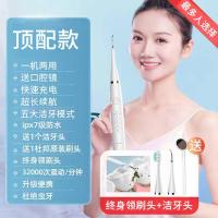 SUIDDY声波洁牙器冲洗牙结石去除器去黄牙垢口臭牙渍神器电动牙刷 H156[试用30天+退货包运费] 电池款+1档低频