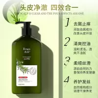迷迭香洗发水除螨虫无硅油洗头膏露控油去屑止痒持久留香套装 [单瓶装]迷迭香洗发水500ml