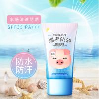 儿童防晒霜秋冬学生初中生美白补水防晒乳防水防汗冬季防晒霜 韩纪小猪防晒霜/1支