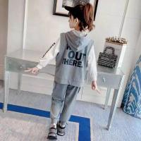女童秋装新款儿童运动套装2021新款洋气春秋衣服女孩三件套中大童 灰色[T恤+裤子]两件套 120