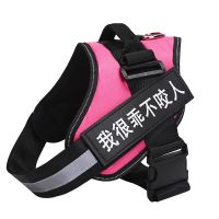 狗狗胸背式牵引绳遛狗绳狗链子拉布拉多金毛泰迪大中小型宠物用品 枚红色不含绳+两个字帖). XS码(推荐3-12斤)