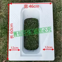 蹲便器盖板农村旱厕改造玻璃钢家用大口直排防臭防冻免冲蹲坑神器 无盖款蹲便器 玻璃钢材质