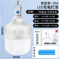 停电应急家用大容量充电灯夜市地摊灯LED户外露营帐篷灯防水超亮 G260经济款+可充手机+可调光