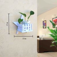 墙上绿萝挂墙墙壁花架水培植物壁挂墙面装饰卧室客厅玻璃花盆花瓶 星星(送瓶子植物)