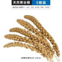 仓鼠谷穗零食磨牙棒装饰造景用品金丝熊营养鸟儿鹦鹉粮食仓鼠玩具 天然黄谷穗-5根装