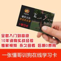 宠物训练训狗训犬教程用品学幼犬金毛训练秘籍神器 懂哥训狗卡 训狗视频学习卡1张(不含训犬指导)