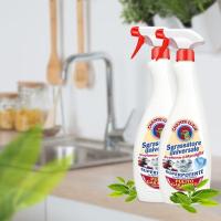 大公鸡头一擦式多功能强力去污家用厨房油烟机清洁灶台万能清洗剂[11月30日发完] [1瓶装]带1喷头