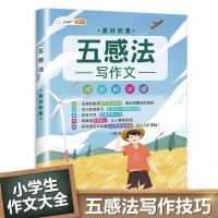 五感法写作技巧与方法写作文素材积累小学三年级四五六年级作文书 五感法写作文-素材积累